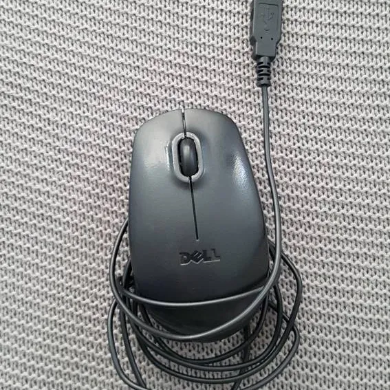 Computer Mouse photo 1