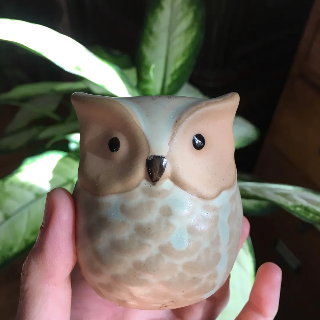 Cute Owl Planter photo 1