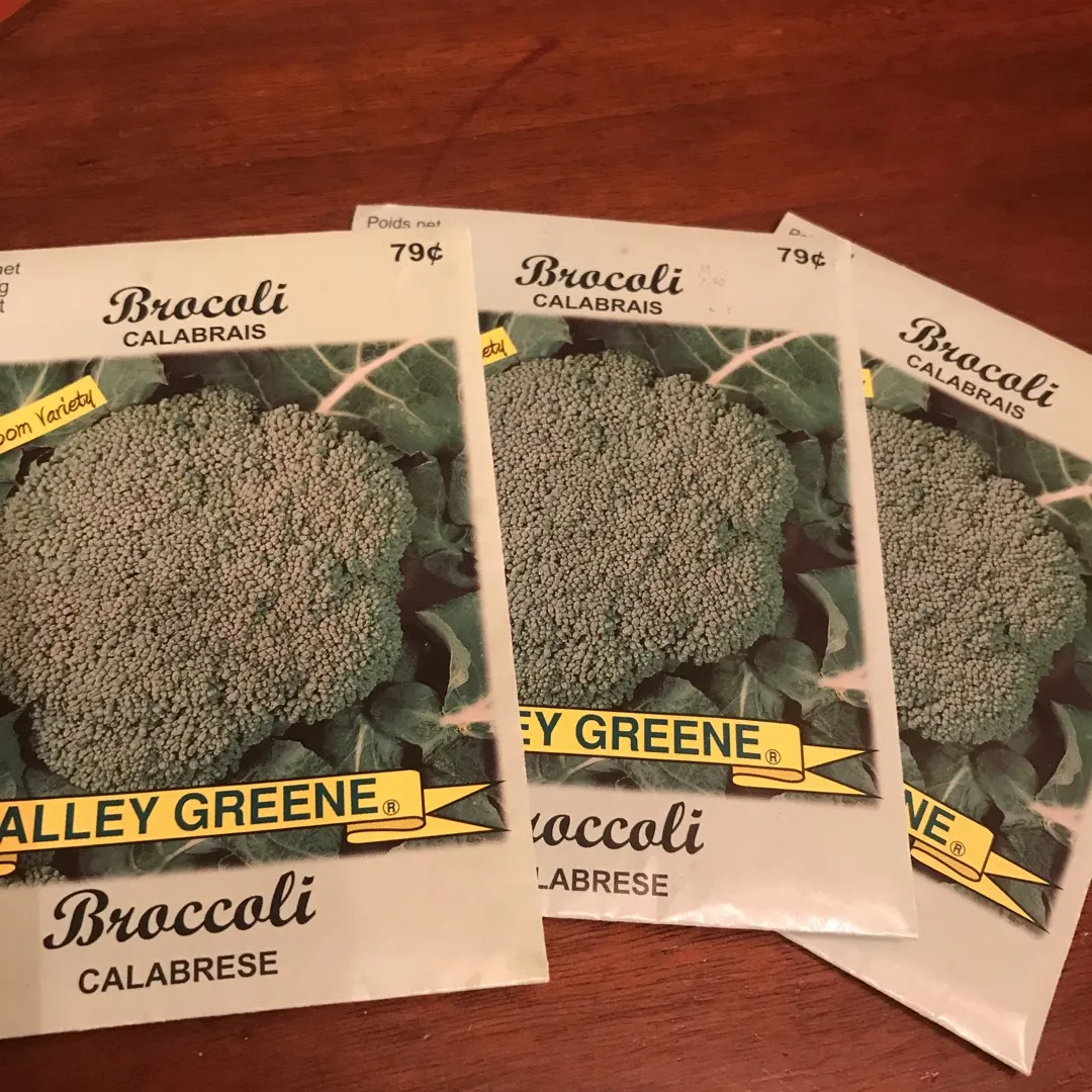 Broccoli Seeds photo 1