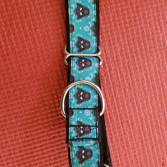 Darby Vader Martingale Dog Collar photo 1