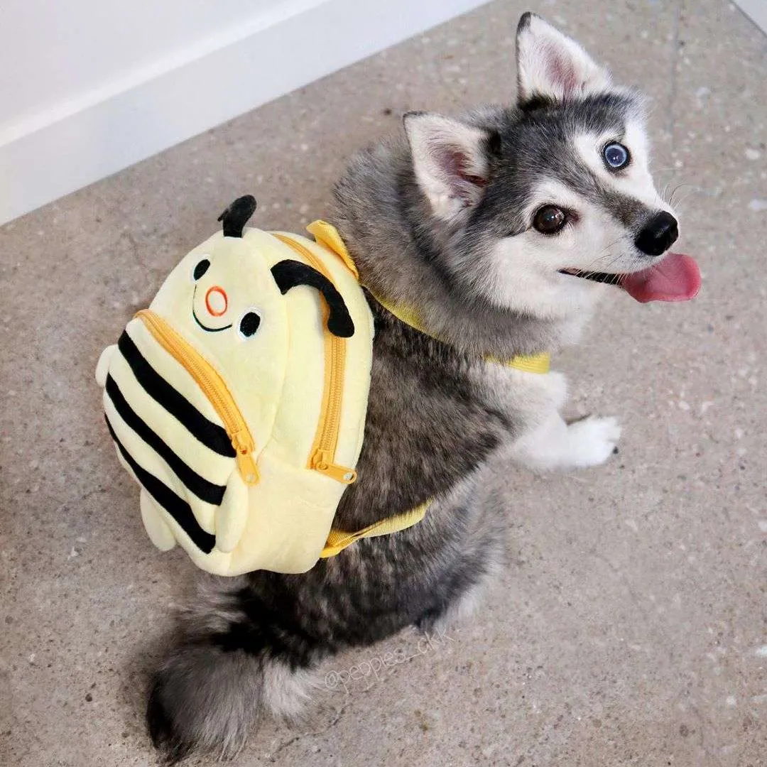 Cute Small Toddler Bumble Bee Backpack photo 3