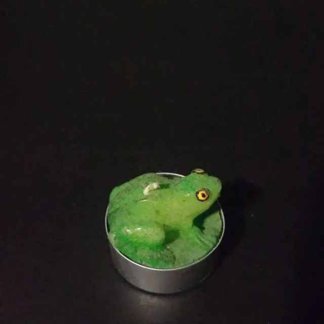 Frog Candle photo 1