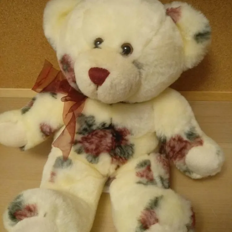 Teddy Bear photo 1