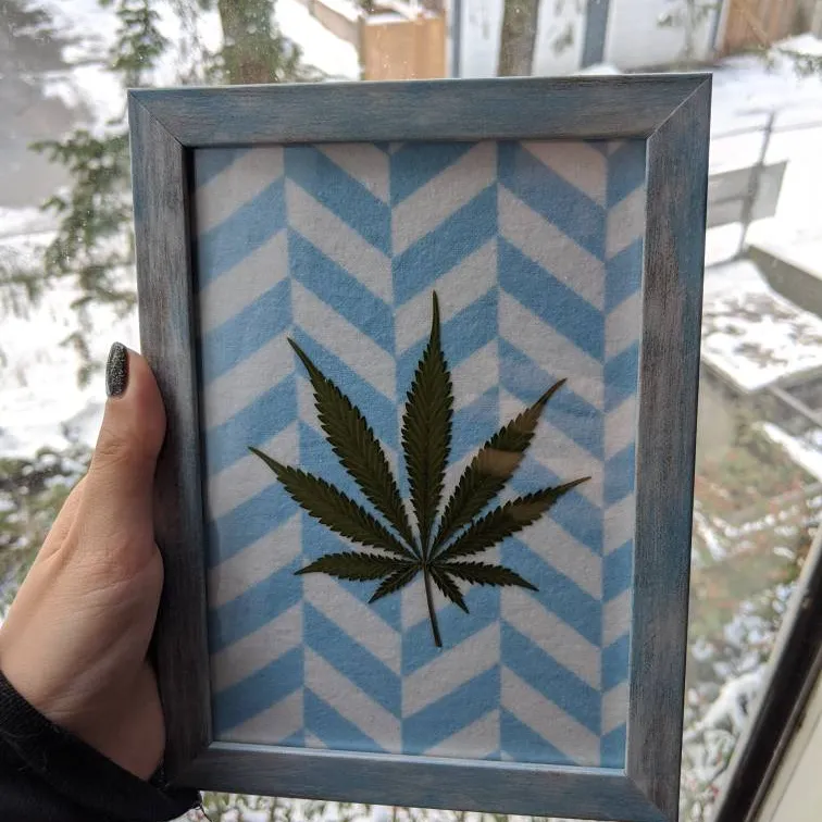 Handmade 420 Pressed Leaf Frames photo 1