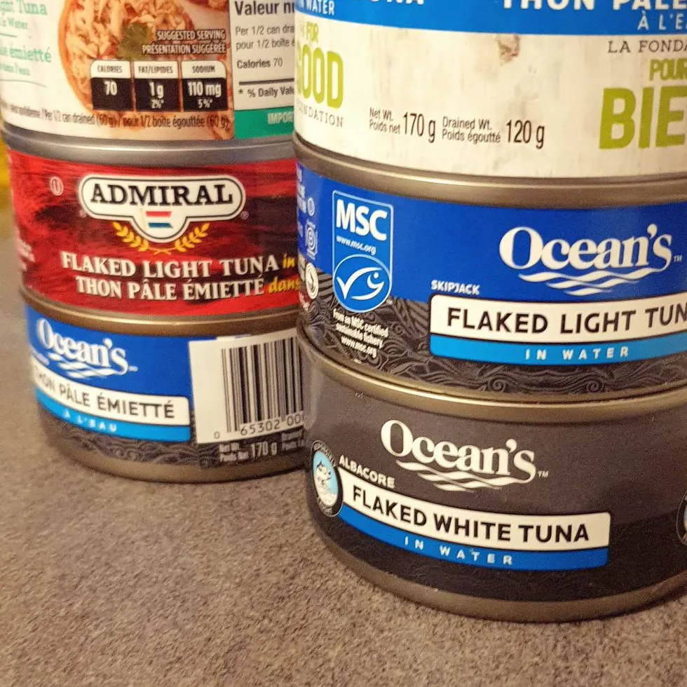 Fresh Canned Tuna! photo 1