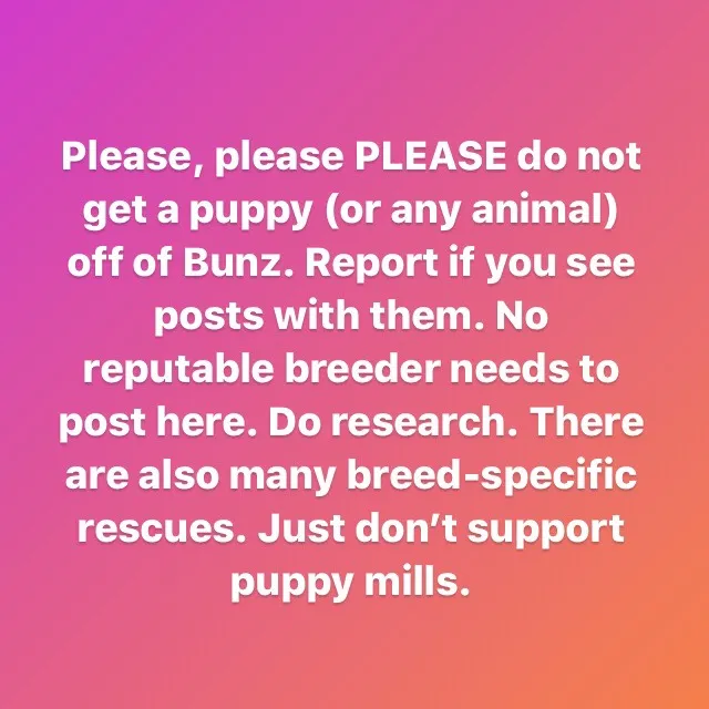 Bunz Is NOT for Pets! photo 1
