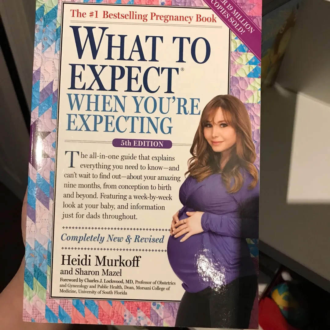 EUC Pregnancy Book photo 1