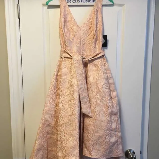 BNWT Blush Dress Size 0 photo 1