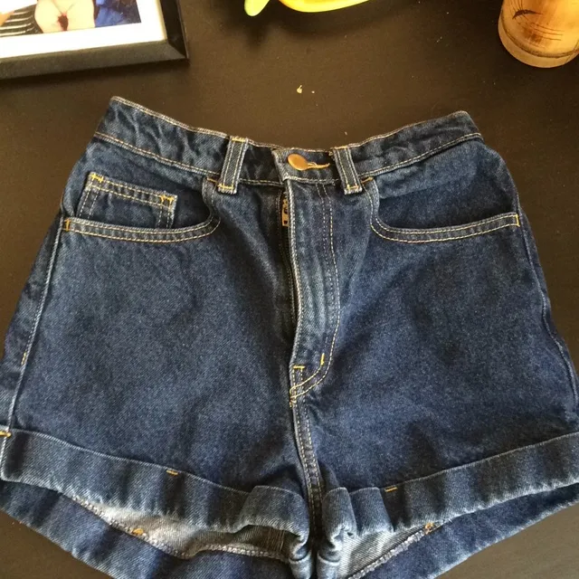 American Apparel Size 25 High Waisted Shorts photo 1