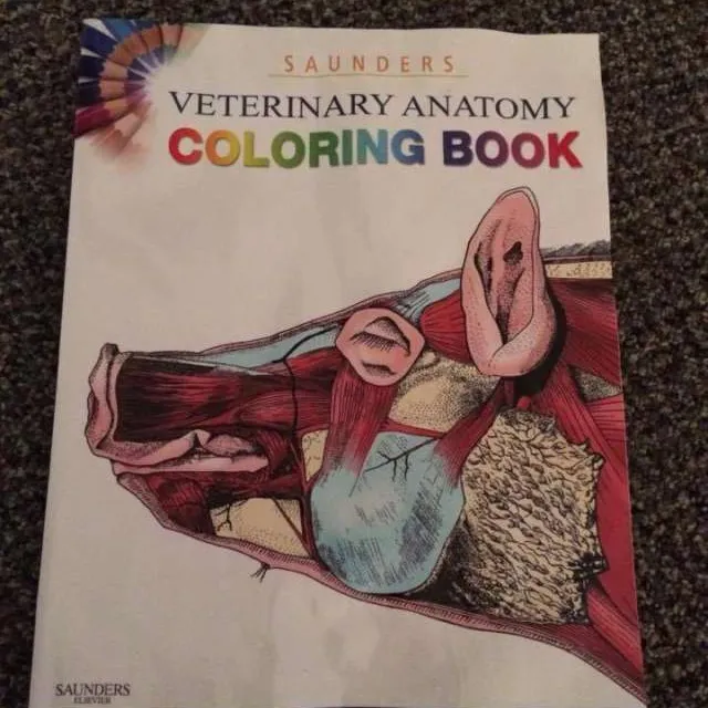Veterinary Anatomy Coloring Book photo 1