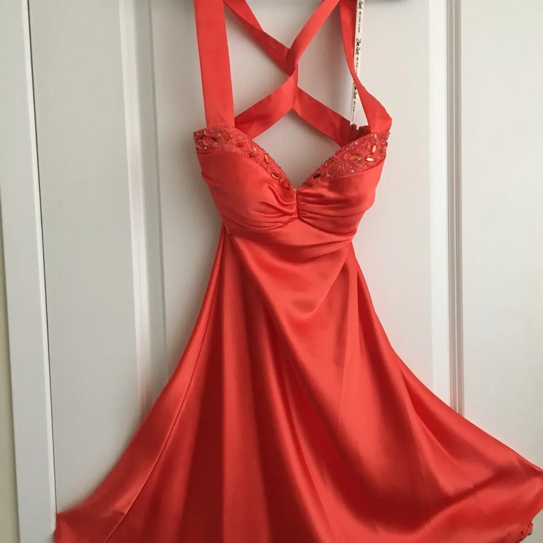 Orange Dress photo 1