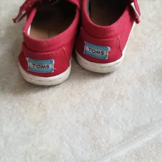 TOMS for Toddlers photo 3
