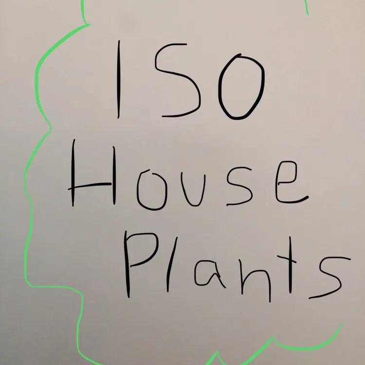 ISO House Plants 🌱 photo 1