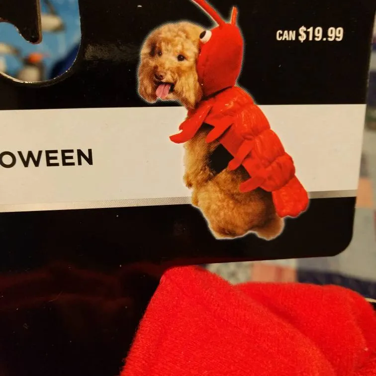 Lobster Costume For Dog (Size M) photo 1