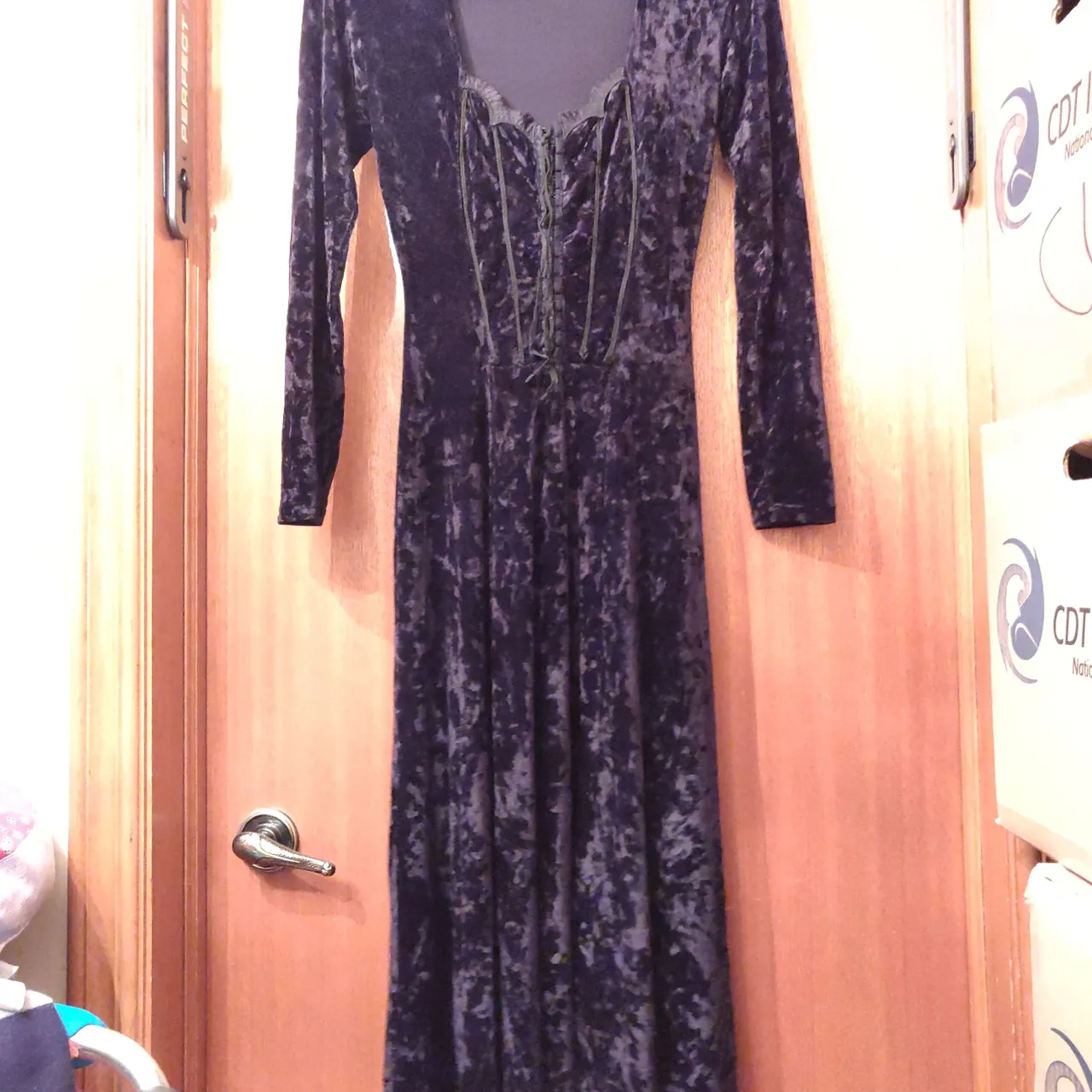 Black Vintage Goth Crushed Velvet Scallop Maxi Dress photo 1