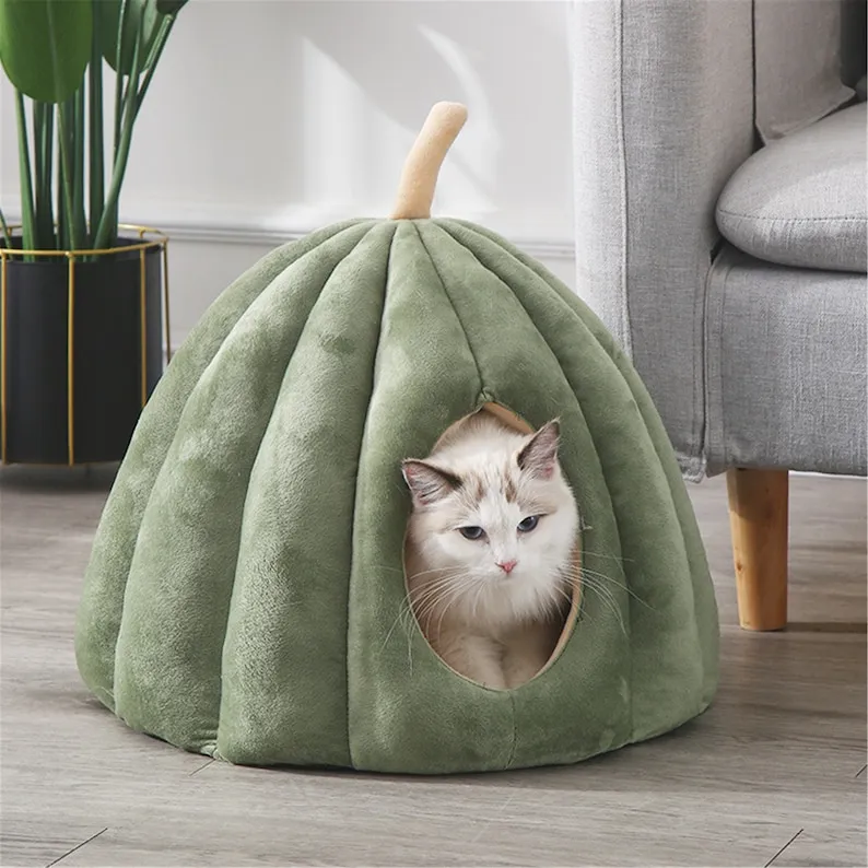 (Like New) Green Pumpkin Pet Home photo 1