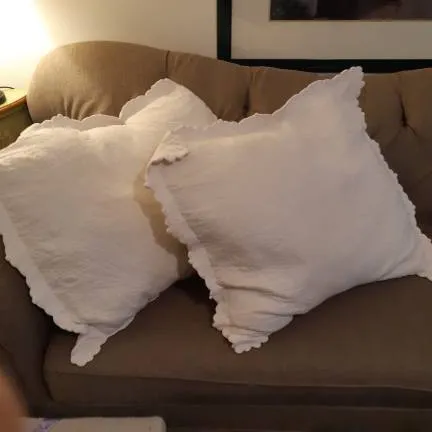 2 Large Down Pillows photo 1