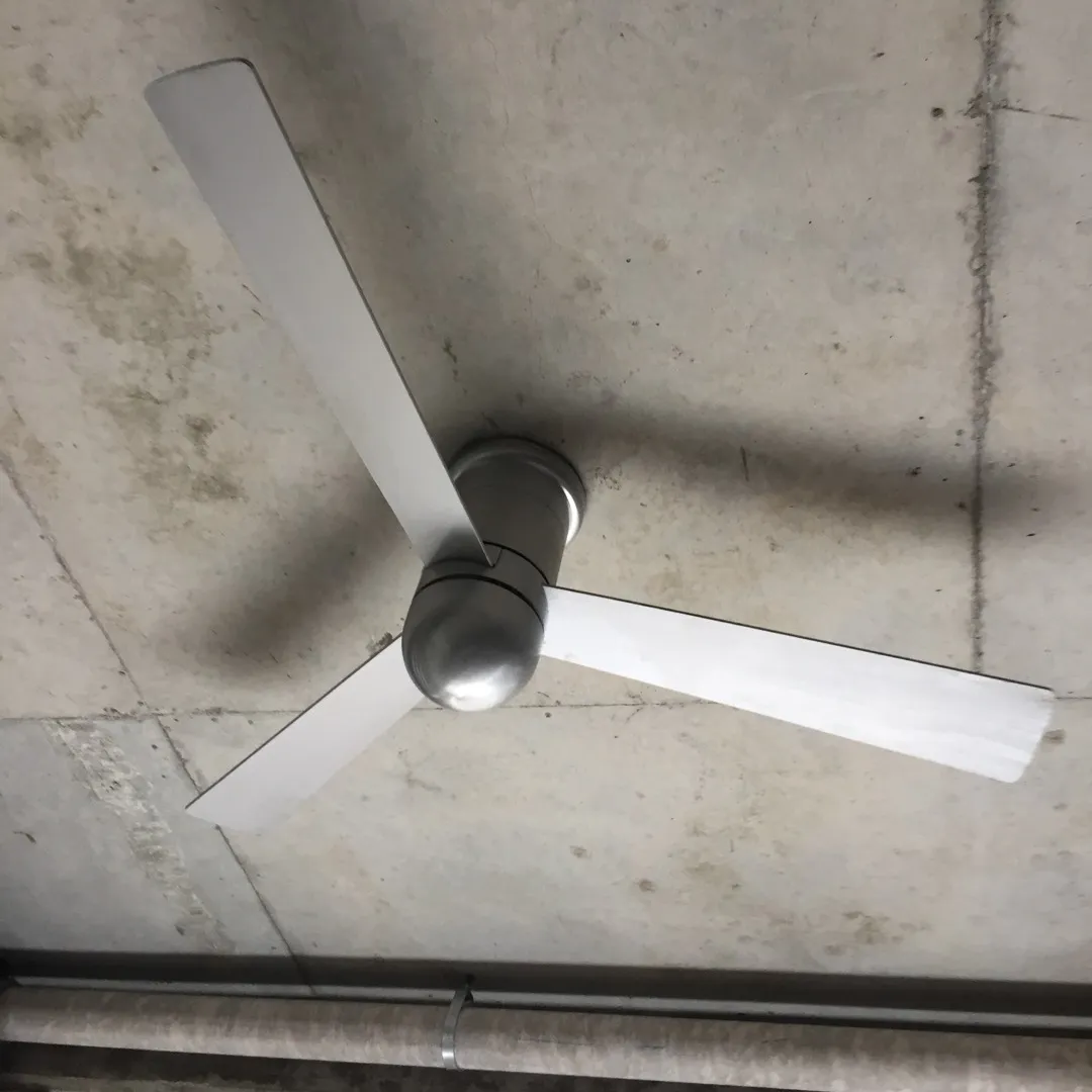 Modern Flush Ceiling Fan photo 1