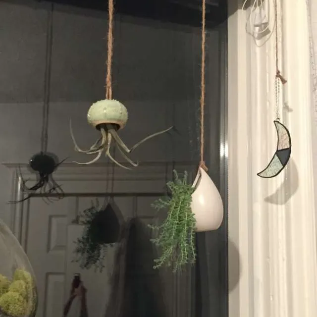 Hanging White Plant Pods photo 1