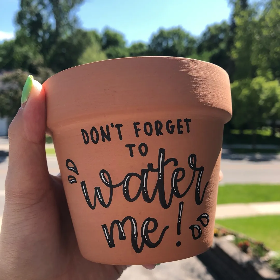 “Don’t Forget To Water Me!” Flower Pot photo 1