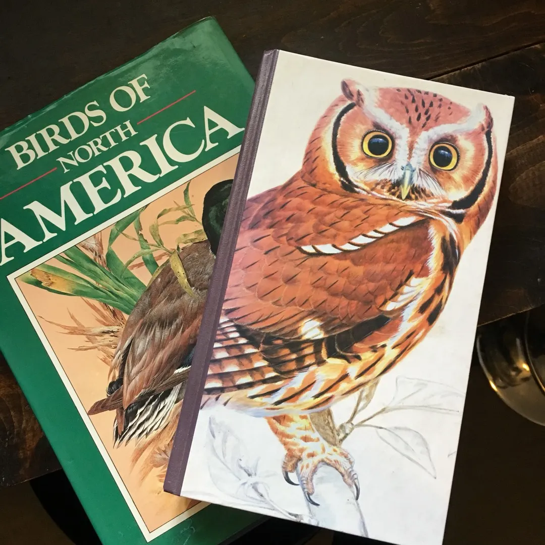 Two Vintage Books Of North American Birds photo 1