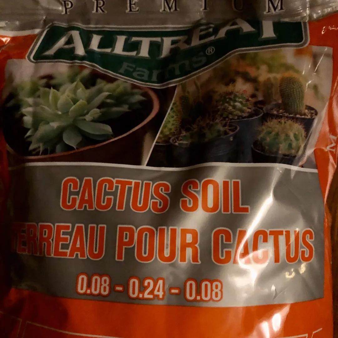 Cactus Soil photo 4