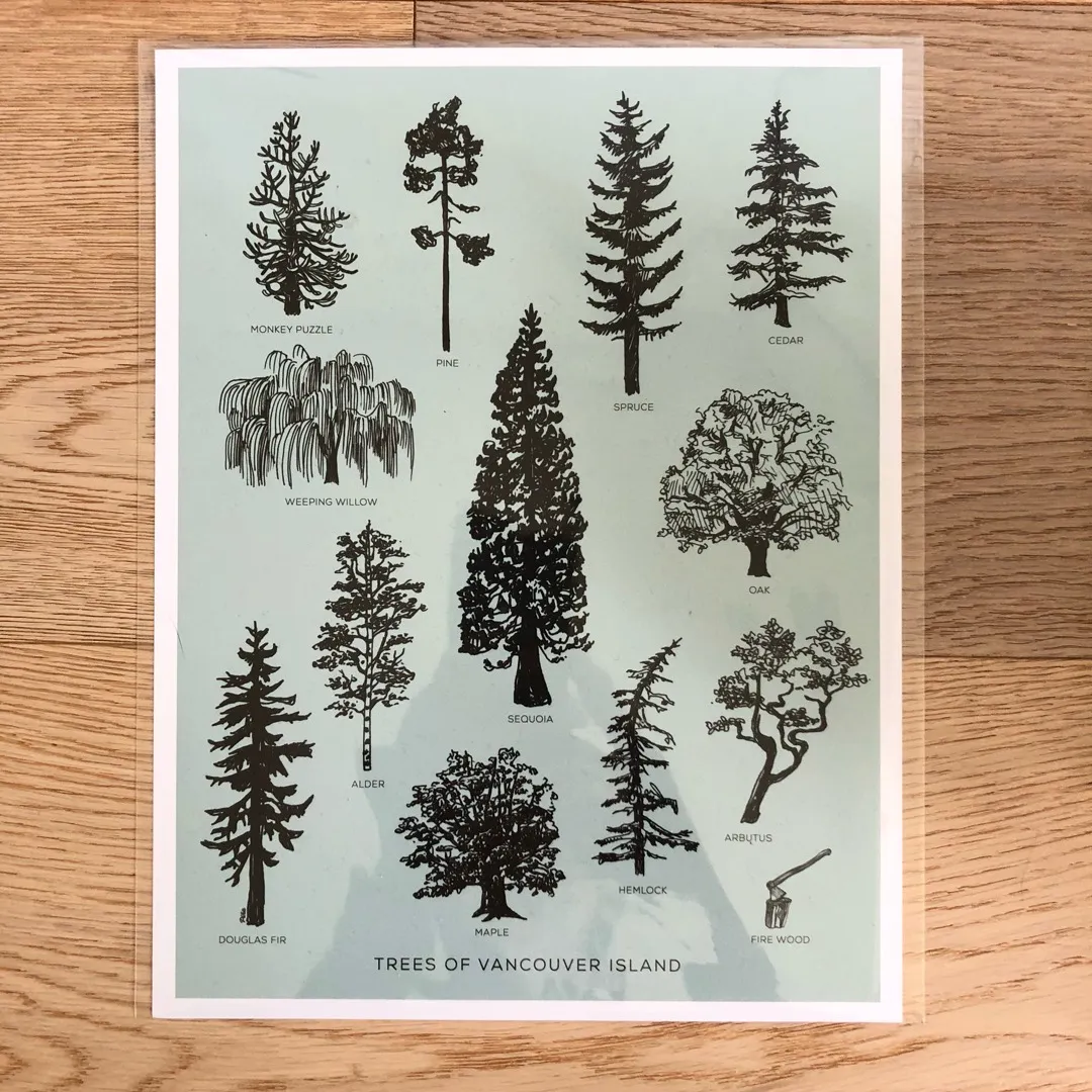 Trees Of Vancouver Island Art Print photo 1