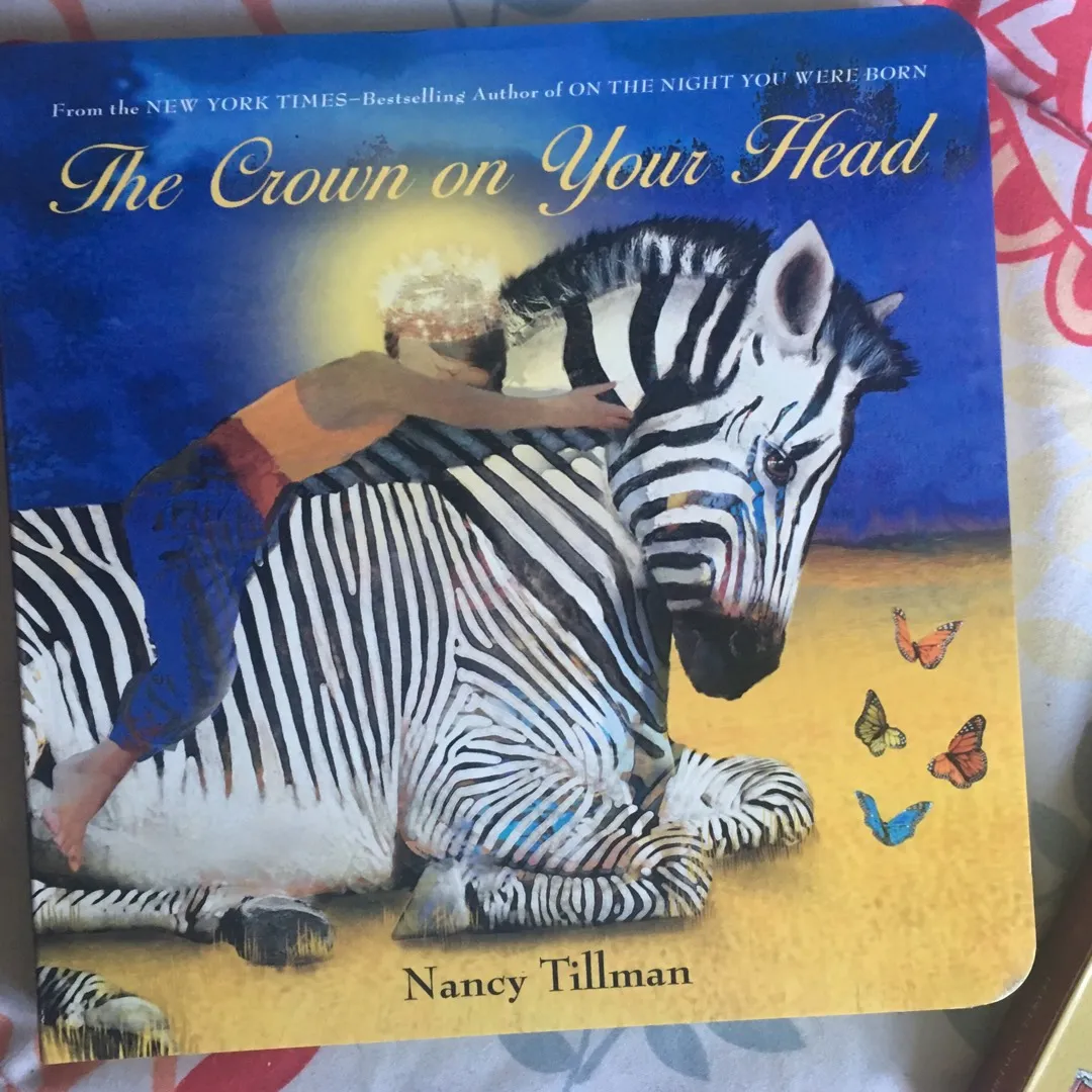 Children’s Books (Nancy Tillman) photo 4