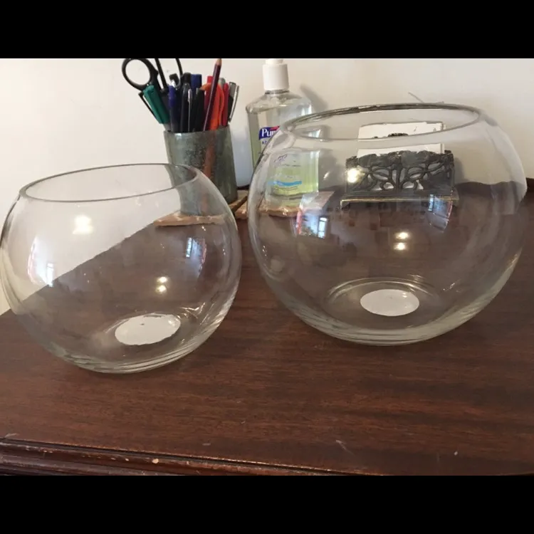 2 Glass Dome Bowls photo 1
