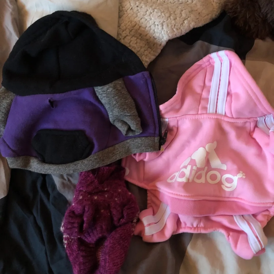 Small Dog Or Puppy Clothes photo 1