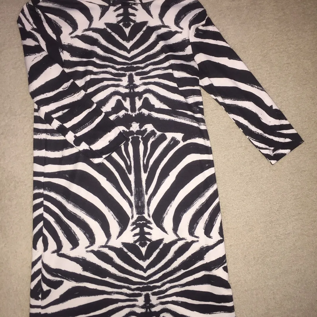 H&M Zebra Print Dress photo 3