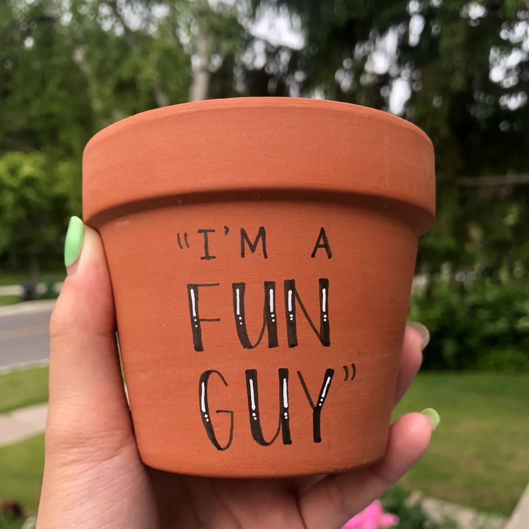 “I’m A Fun Guy” Flower Pot photo 3