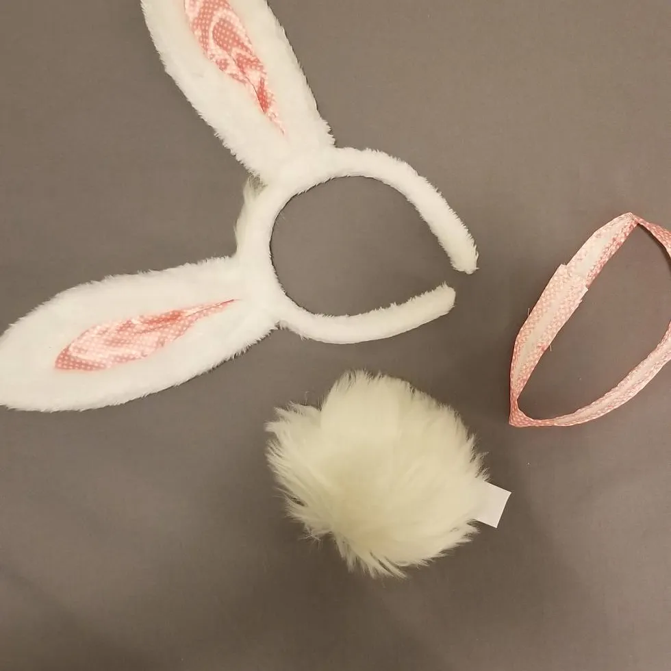Bunny Ears Tail Ribbon Set photo 1