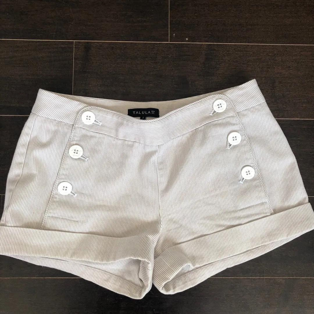 Aritzia Talula Shorts Size 2 photo 1