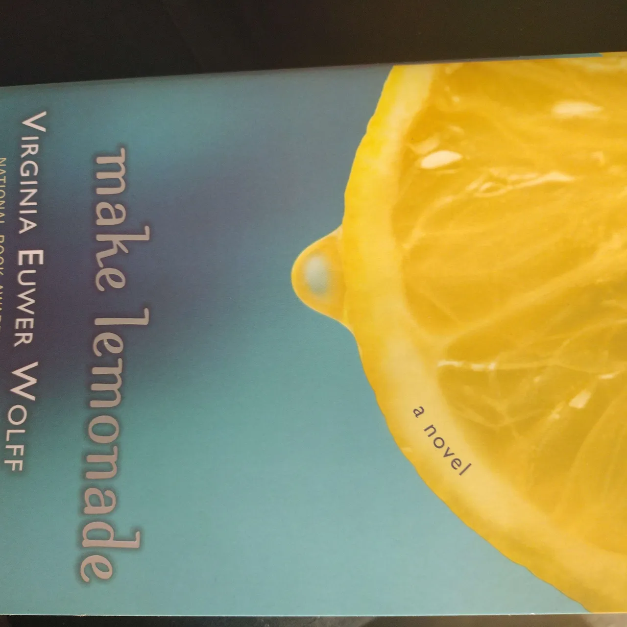 Trading Make Lemonade by Virginia Euwer Wolff photo 1