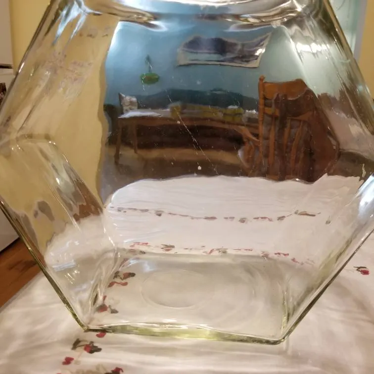 Large Glass Container photo 1