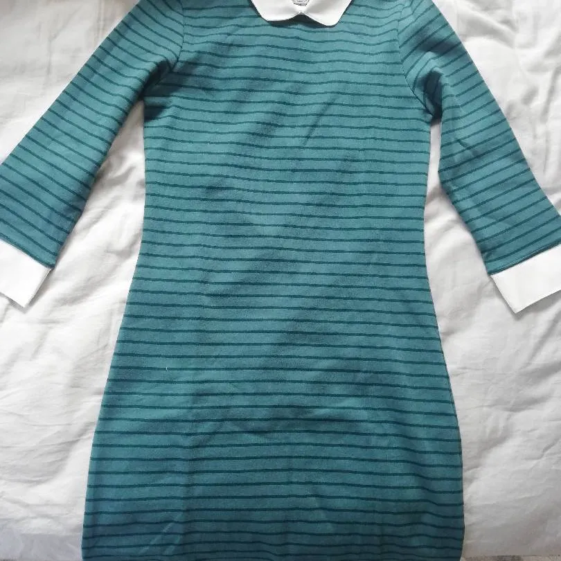 New With Tag, Green Cotton Dress With collar, Medium photo 1
