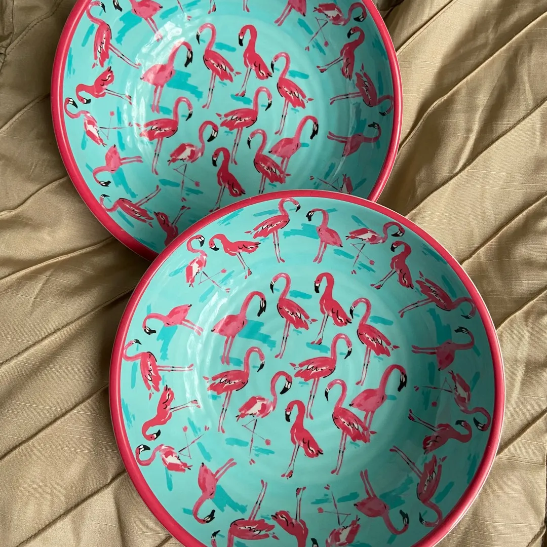 flamingo melamine bowls photo 1