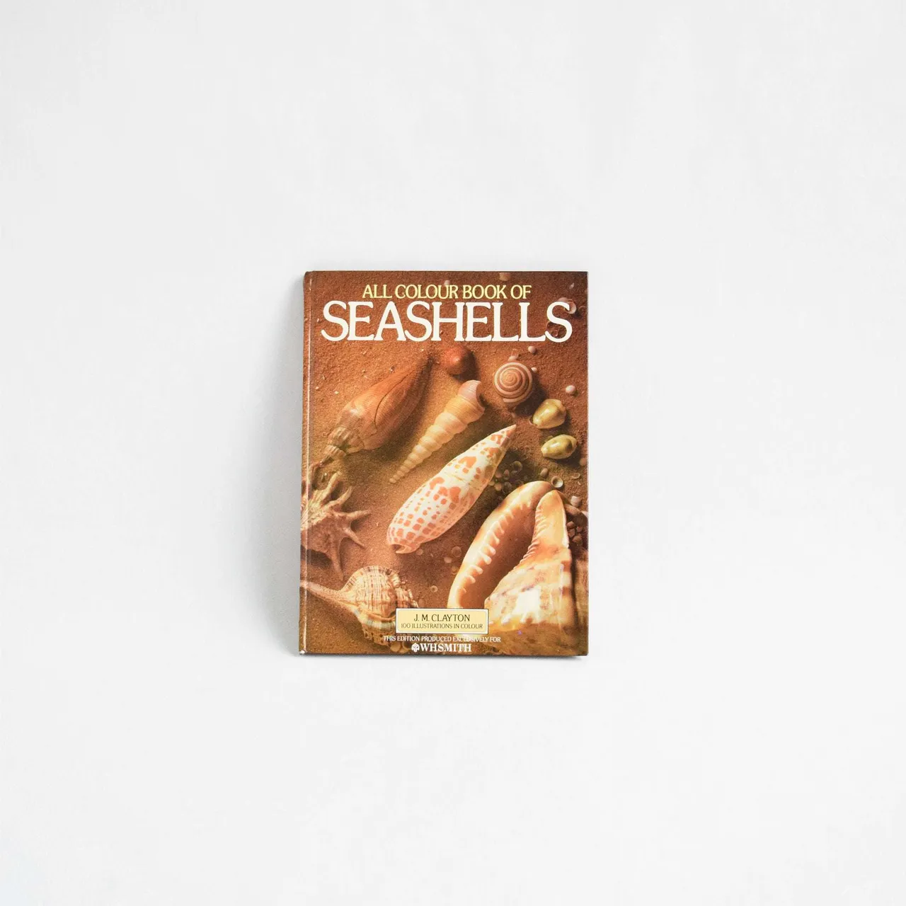 Vintage Book of Seashells With Colour Photographs photo 1