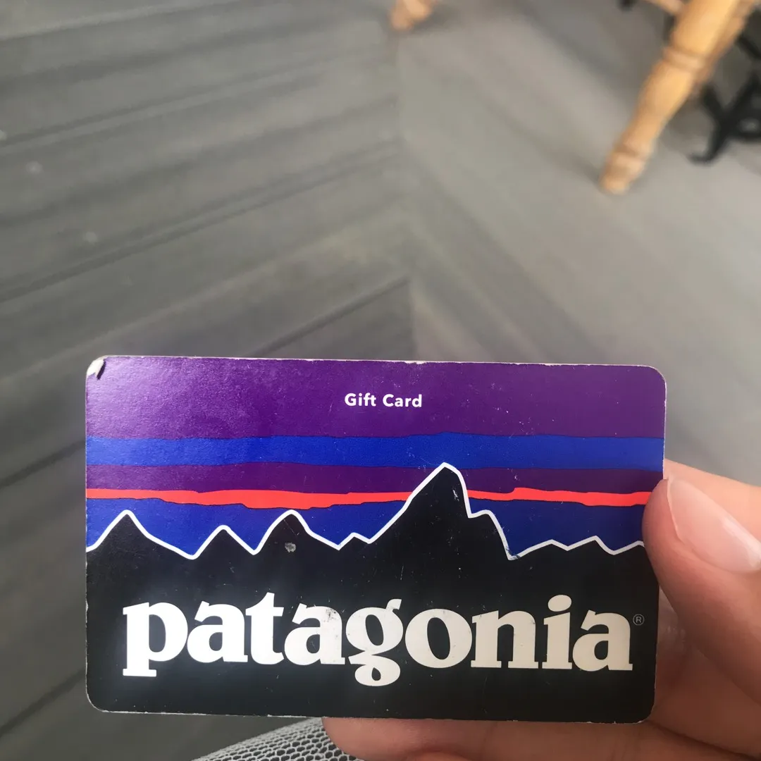 $180 Patagonia gift card photo 1