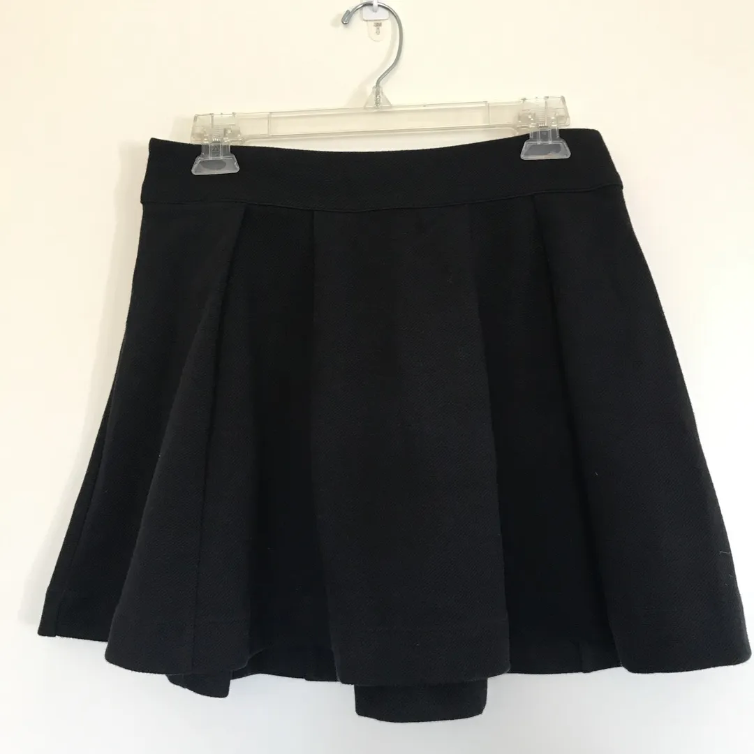 Urban Outfitters Pleated Skirt photo 1