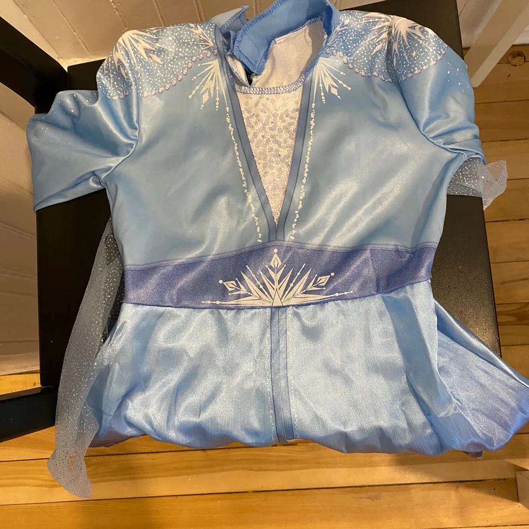 Elsa Costume For A Toddler photo 1
