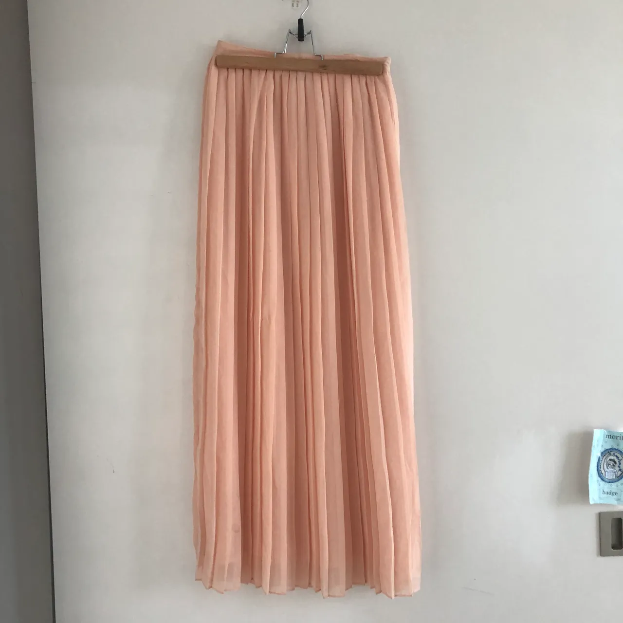Urban Outfitters Peach Pleated Maxi Skirt photo 1