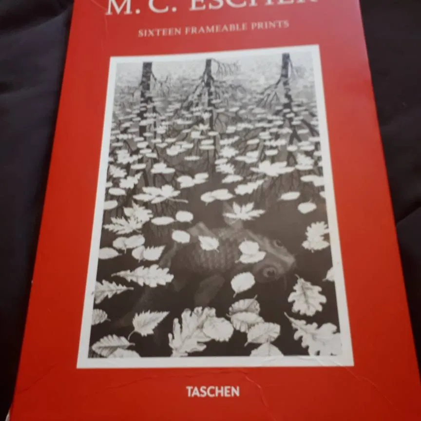 M.C. Escher Prints photo 1