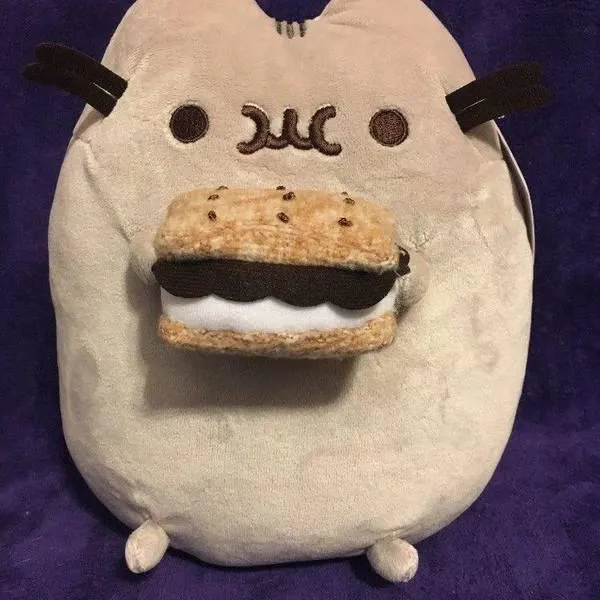 Pusheen with Smores! photo 1