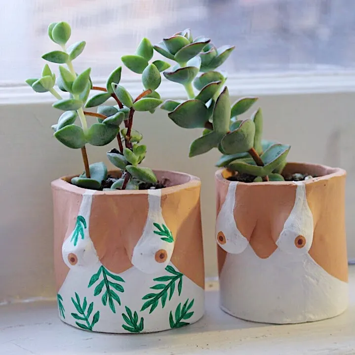 Mini Patterned Boob Pots with Succulents! photo 5