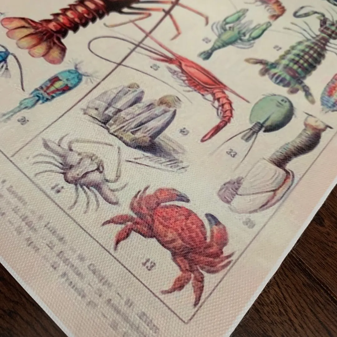 Crab / Shelfish Canvas Print: Retro Reproduction photo 3