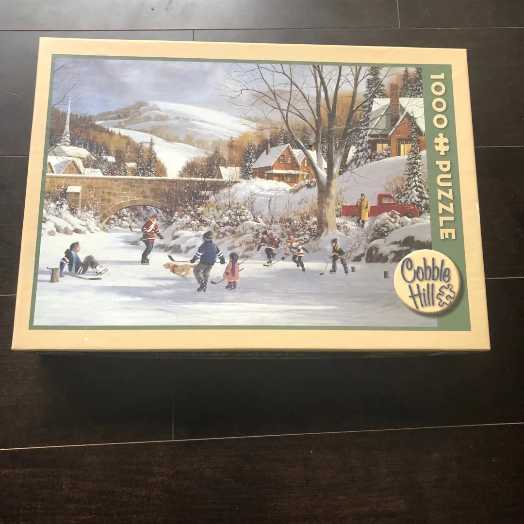 Skating On A Frozen Pond 1000 Piece Puzzle photo 1