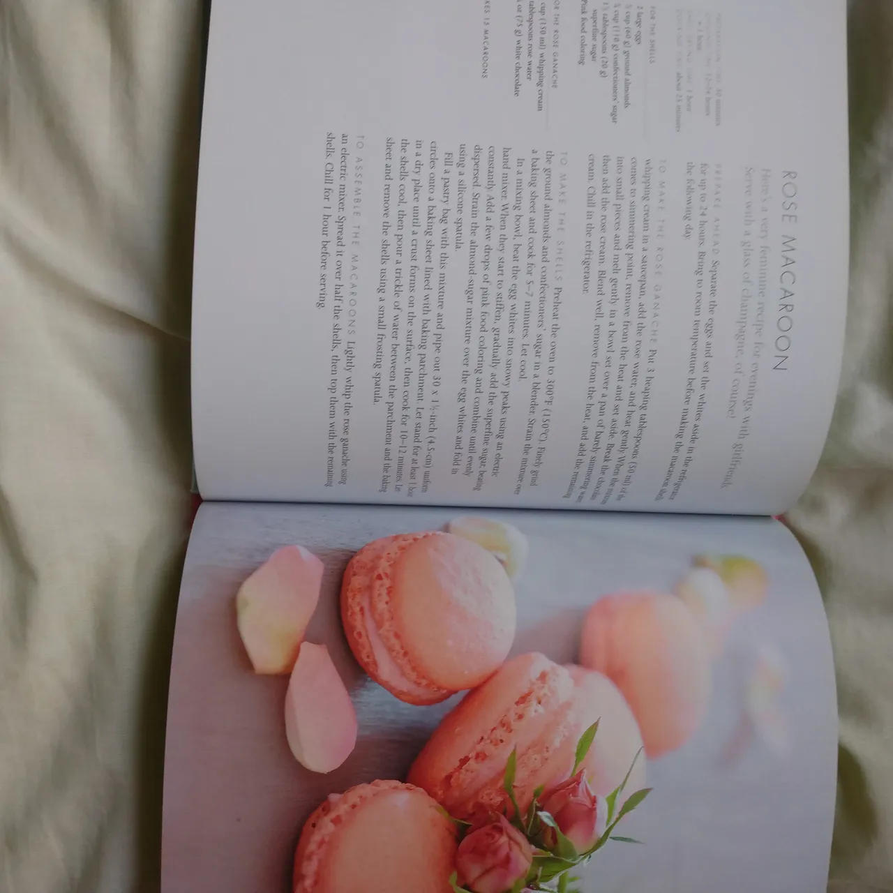 Hardcover macaron baking cook book photo 5