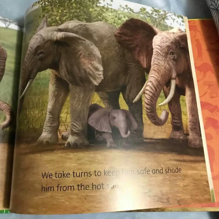 New Kids Book - My Life In the Wild Elephant photo 6